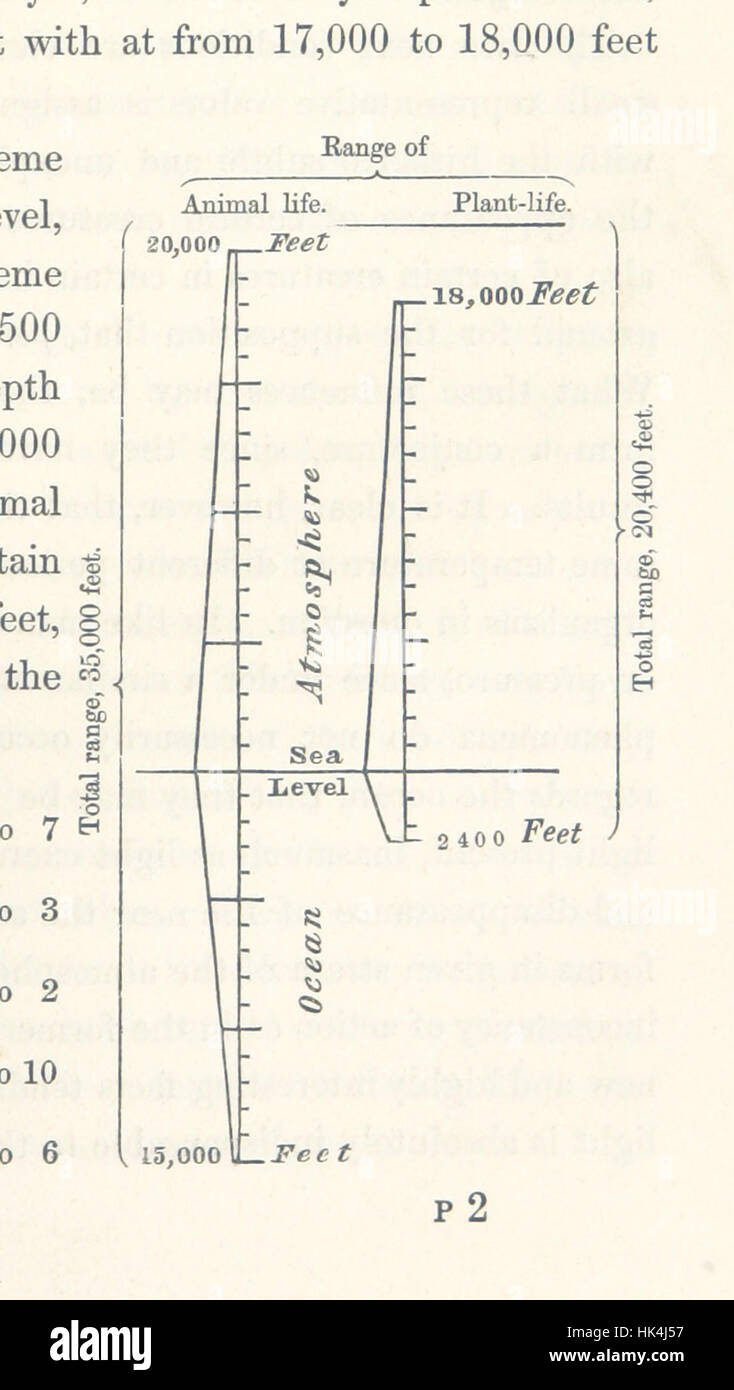 Bild von Seite 123 von „The Nordatlantic Sea-Bed“, das Beobachtungen und Tagebuch einer Reise an Bord der H.M.S. Bulldog im Jahr 1860 zeigt, wobei der Schwerpunkt auf das Tierleben in der Tiefsee und die Tiefen des Ozeans gelegt wurde. Stockfoto