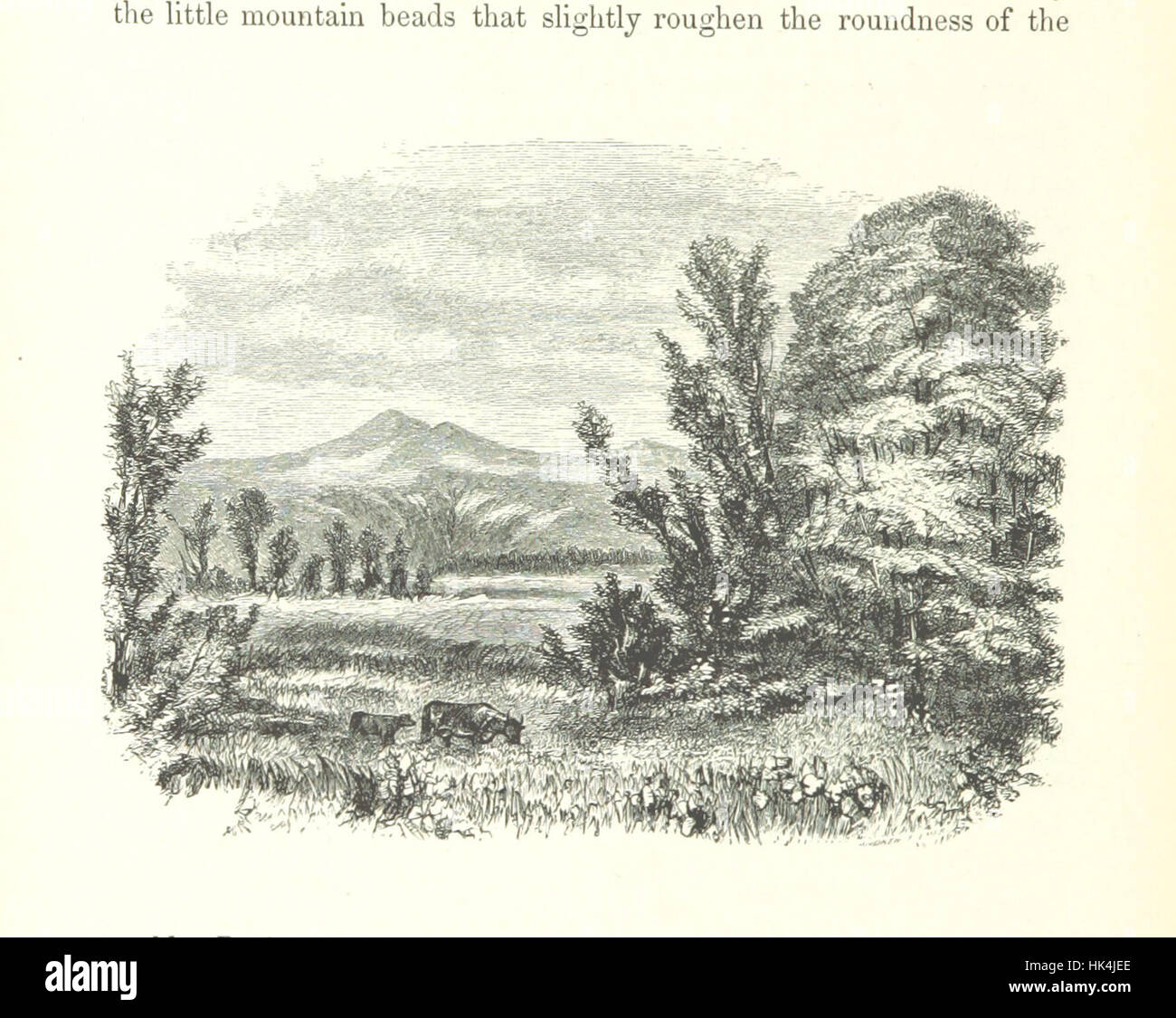 Bild von Seite 124 von "The White Hills; Ihre Legenden, Landschaft und Poesie. Mit sechzig Abbildungen von Zeichnungen von Wheelock von Andrew, graviert. Vieles "Bild von Seite 124 von" The White Stockfoto
