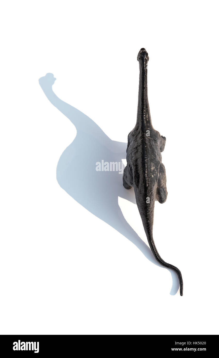 Top Ivew Diplodocus Spielzeug mit Schatten auf weißem Hintergrund Stockfoto