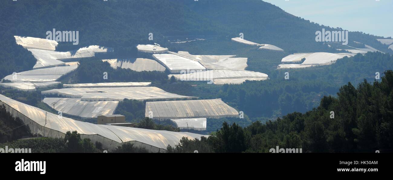 Progenies, Früchte, Kunststoff, Kunststoff, Pläne, Markise, Wintergarten, Stockfoto