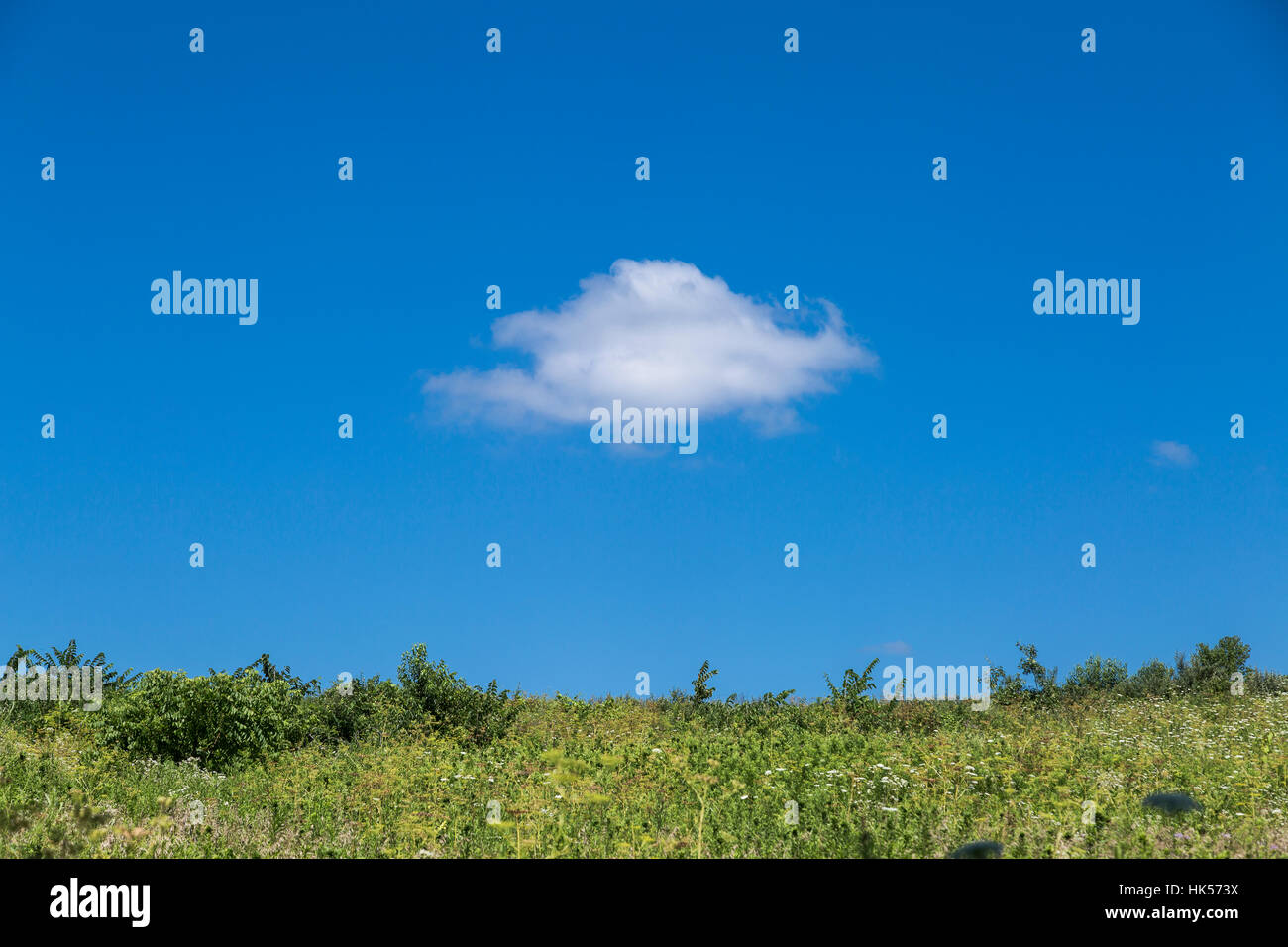 Eine geschwollene weißen Wolken in der Mitte ein blauer Himmel über einer grünen Wiese Stockfoto