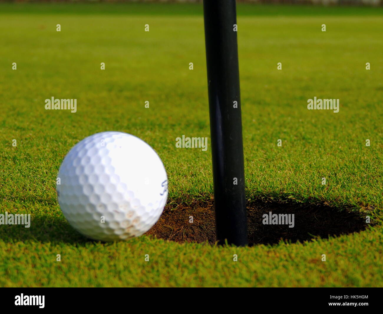 Loch, Golf, Punsch, Golfplatz, Putt, Golf, Golfer, Rasen, grün, verlieren, verlieren, Stockfoto