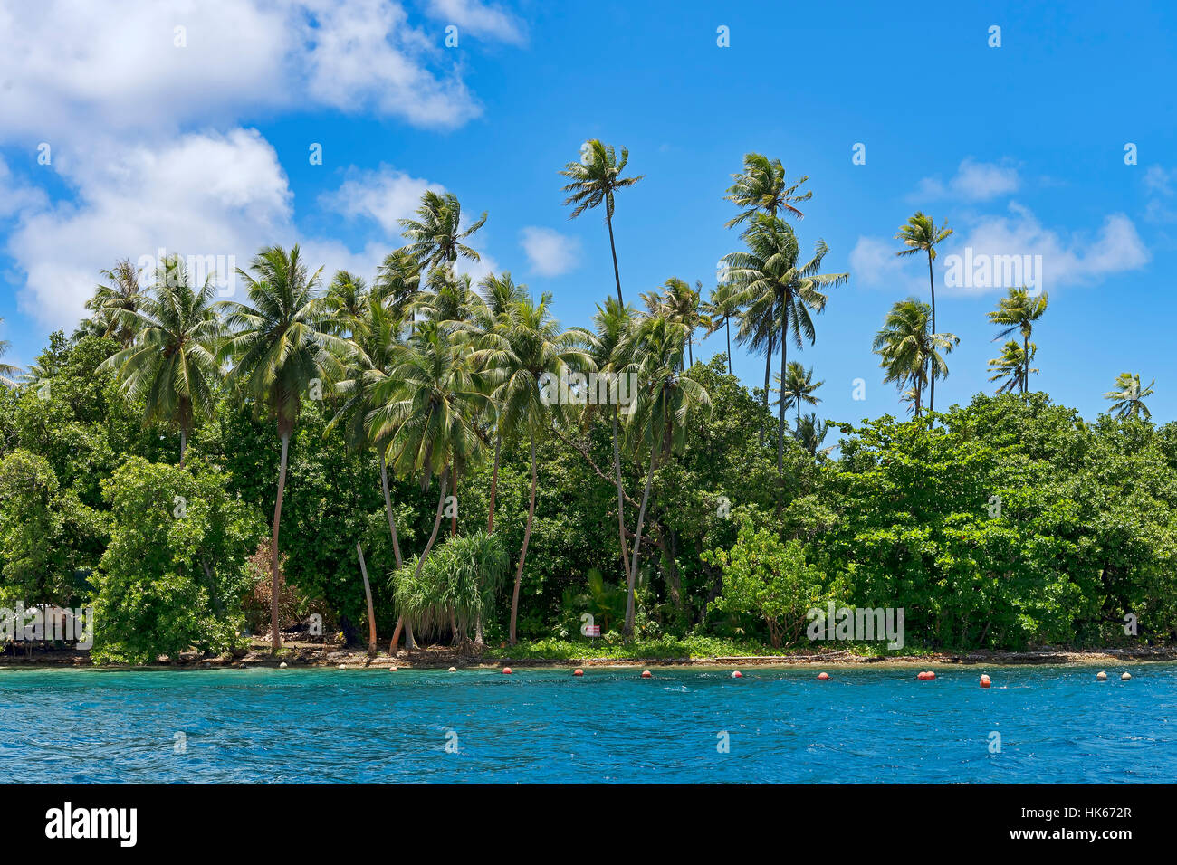 Palm Beach auf Raiatea, Französisch-Polynesien, Südsee, Ozeanien Stockfoto