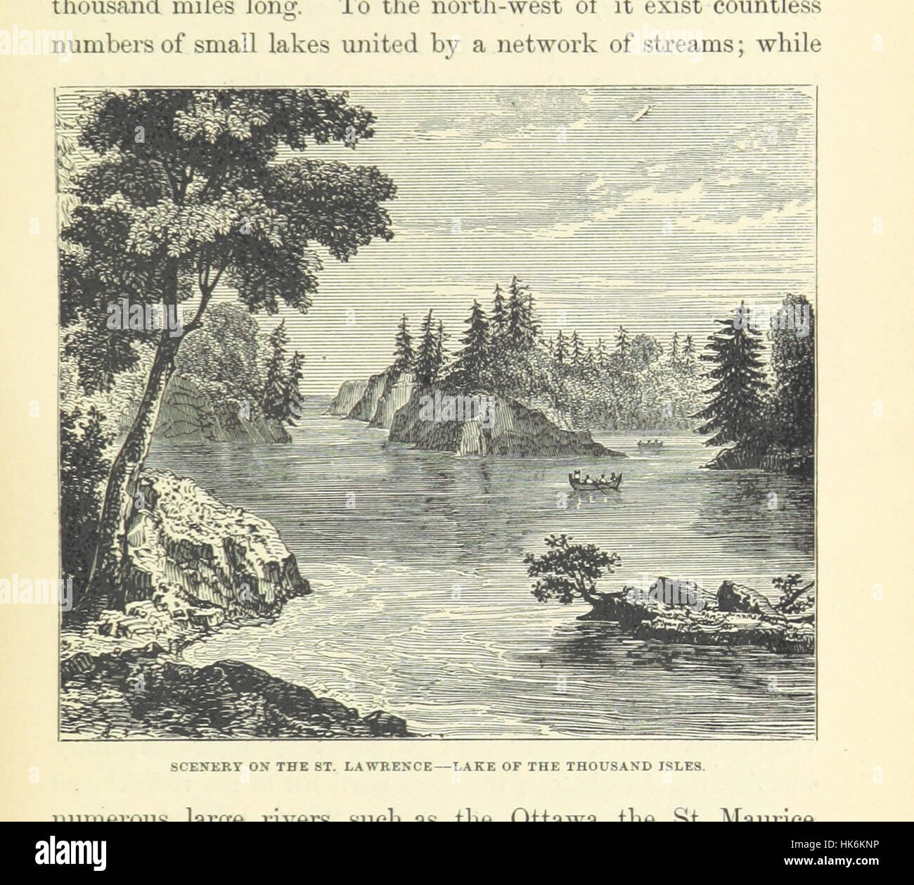 Bild von Seite 29 von "The Western World. Malerische Skizzen von Natur und Naturgeschichte in Nord- und Südamerika "Bild von Seite 29 von" The Western World Stockfoto