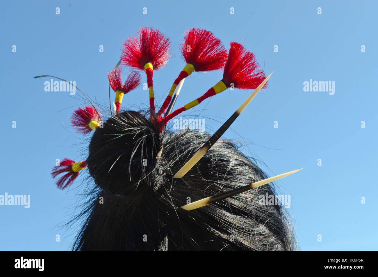 Lotha - Dame mit ihrem schönen Kopf - Dekoration - hornbill Festival Stockfoto