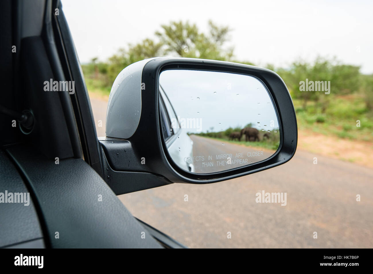 Seite Rückspiegel Auto zeigen Elefantenherde vorbei an der Straße Stockfoto