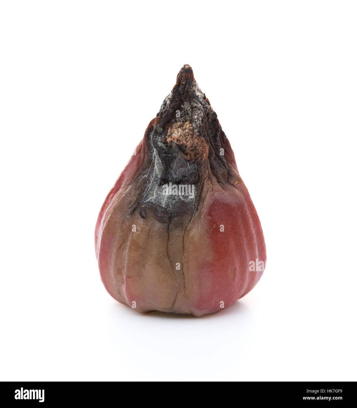 faule Wachs Apfel auf einem weißen Hintergrund Stockfoto