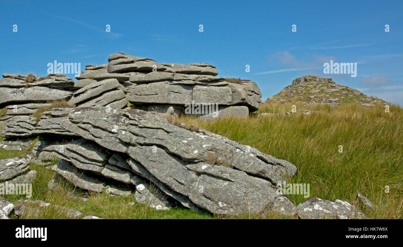 Weißen Tor auf Dartmoor Stockfoto
