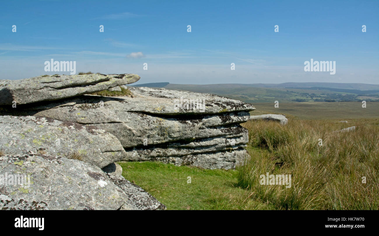 Weißen Tor auf Dartmoor Stockfoto