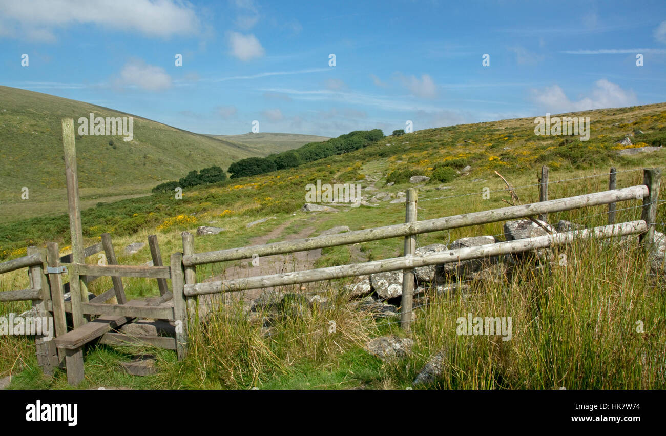 Blick nach Norden in Richtung Wistmans Wood in der Nähe von zwei Brücken auf Dartmoor Stockfoto