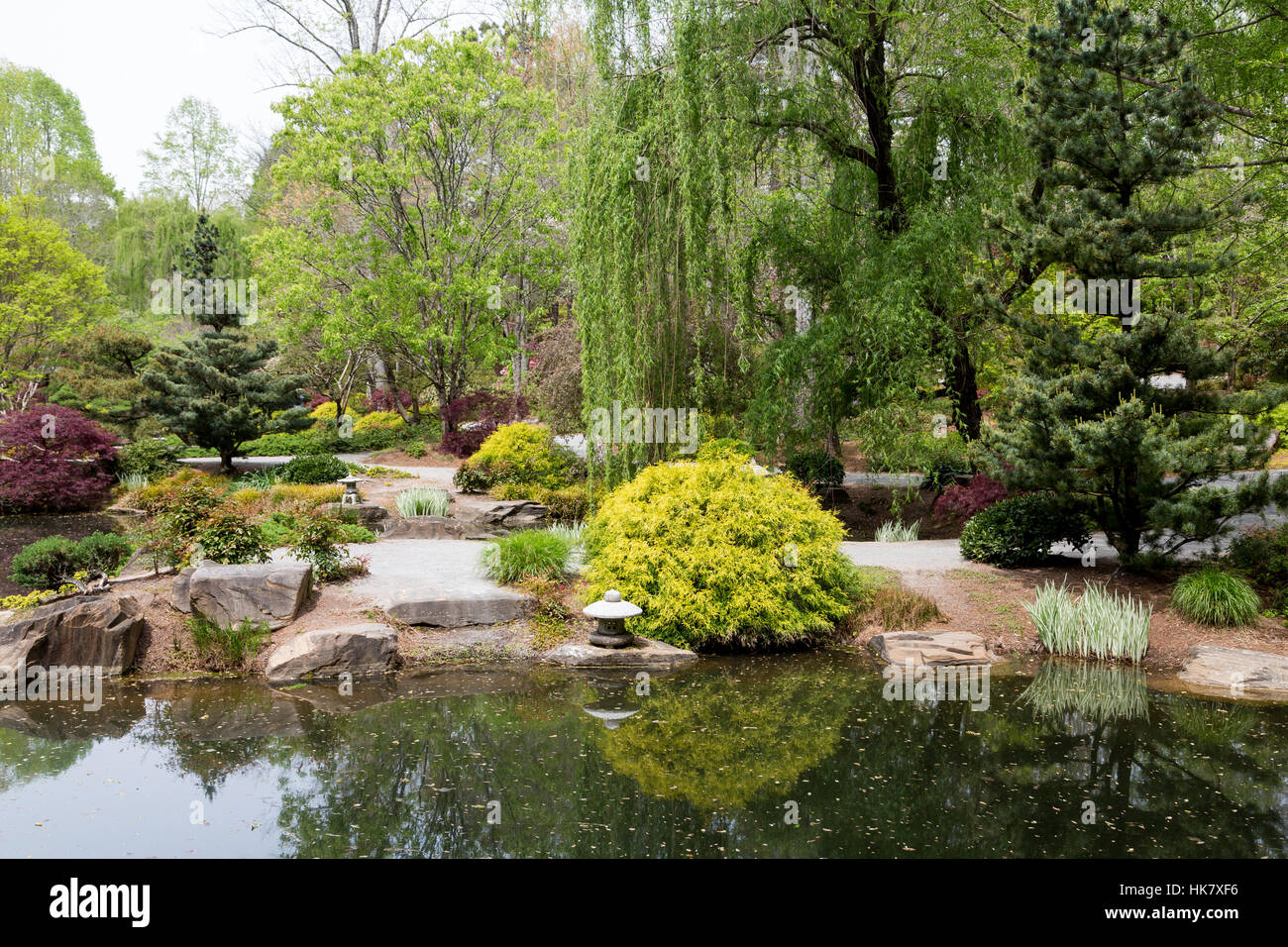 Rot-Ahornbäume rund um See im japanischen Garten Stockfoto