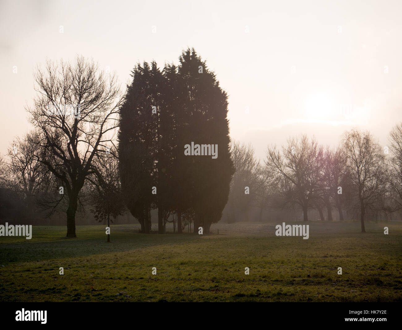 Bäume-Silloutted von der frühen Morgensonne steigt an einem kalten frostigen Morgen in einem Park in Manchester Stockfoto