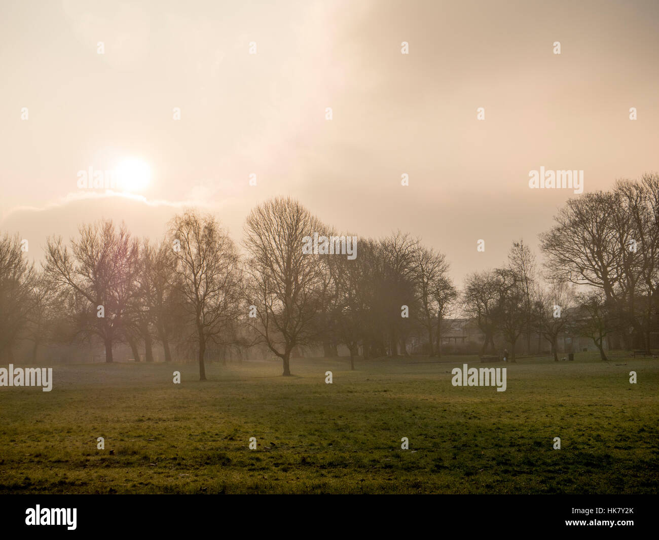 Bäume-Silloutted von der frühen Morgensonne steigt an einem kalten frostigen Morgen in einem Park in Manchester Stockfoto