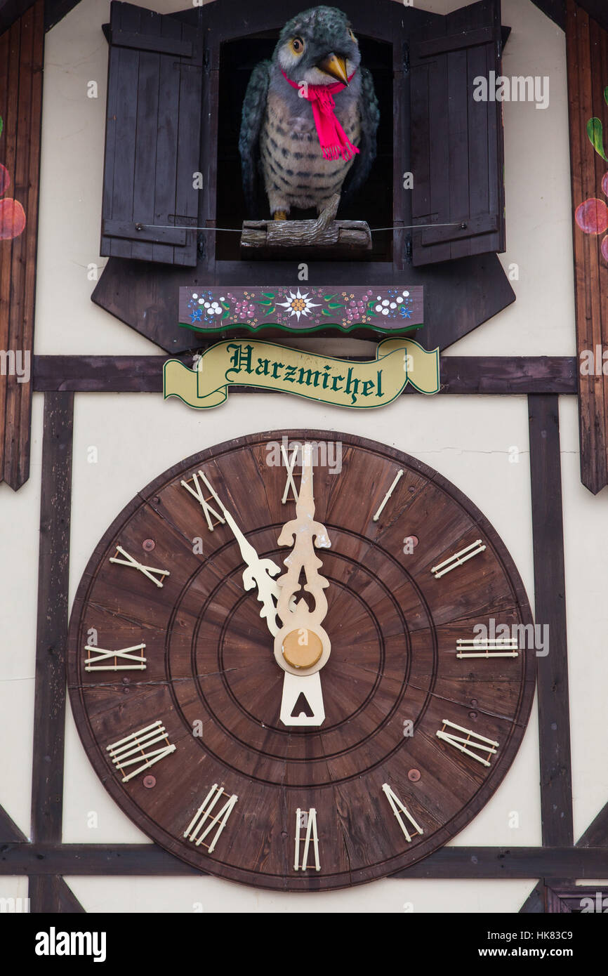 Harz, Uhren, Wetterstation, Uhr, Kuckucksuhr, Winter, Harz, Anblick, Stockfoto