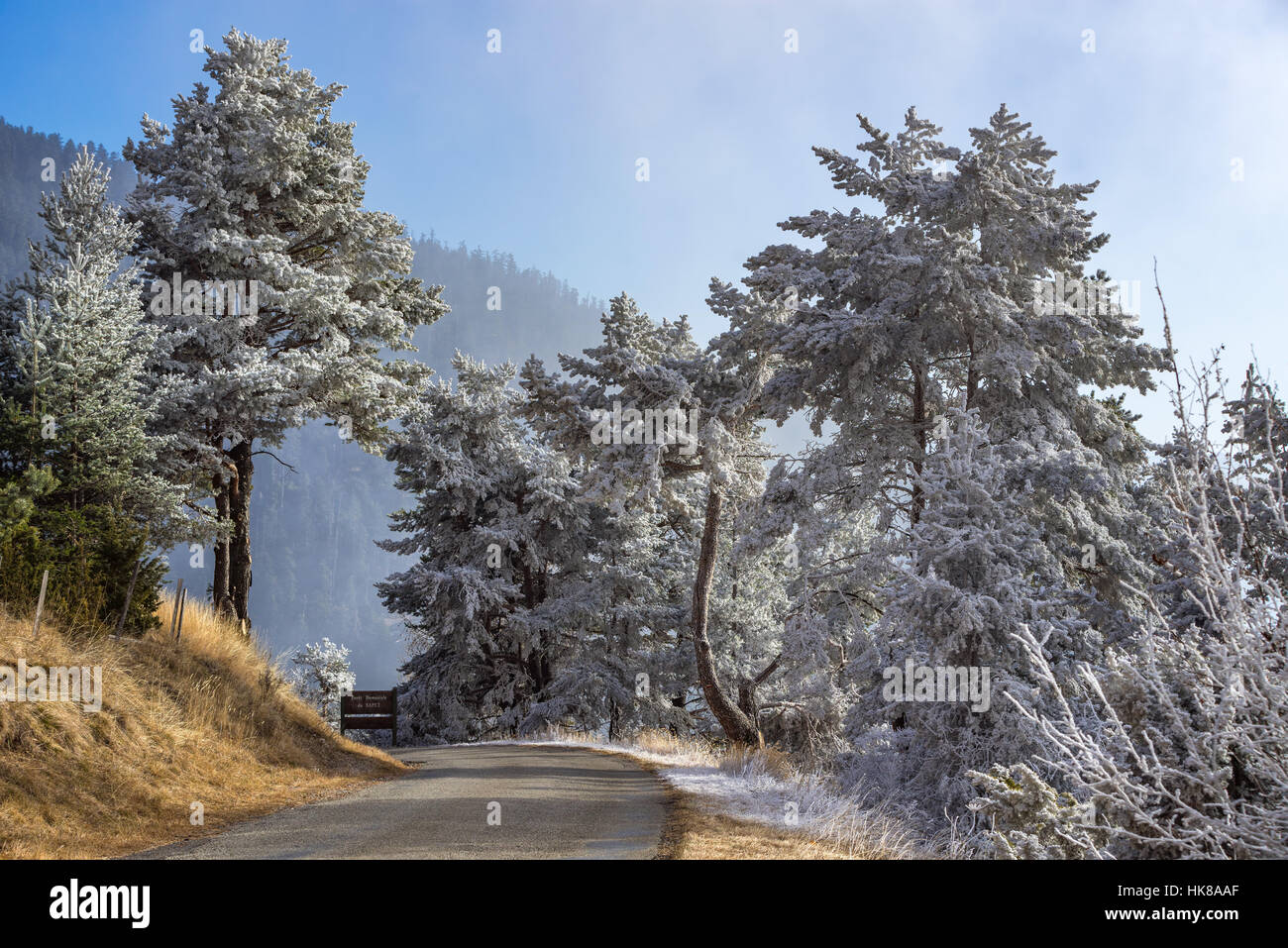 Moissiere Pass und dem Sapet Wald im Winter mit Frost bedeckt Bäume. Hautes Alpes, Nationalpark Ecrins, Alpen, Frankreich Stockfoto