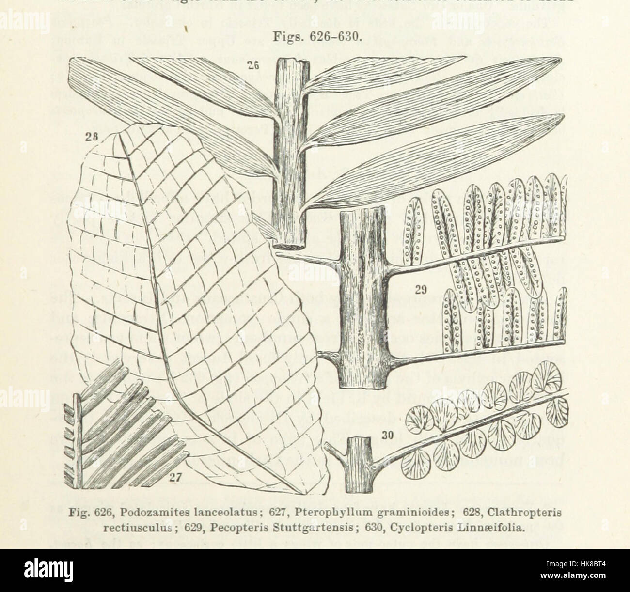 Bild entnommen Seite 441 des "Handbuch für Geologie: Behandlung der Prinzipien der Wissenschaft mit besonderem Bezug auf amerikanische geologische Geschichte... Überarbeitete Auflage "Bild entnommen Seite 441 des" Handbuch der geol. Stockfoto