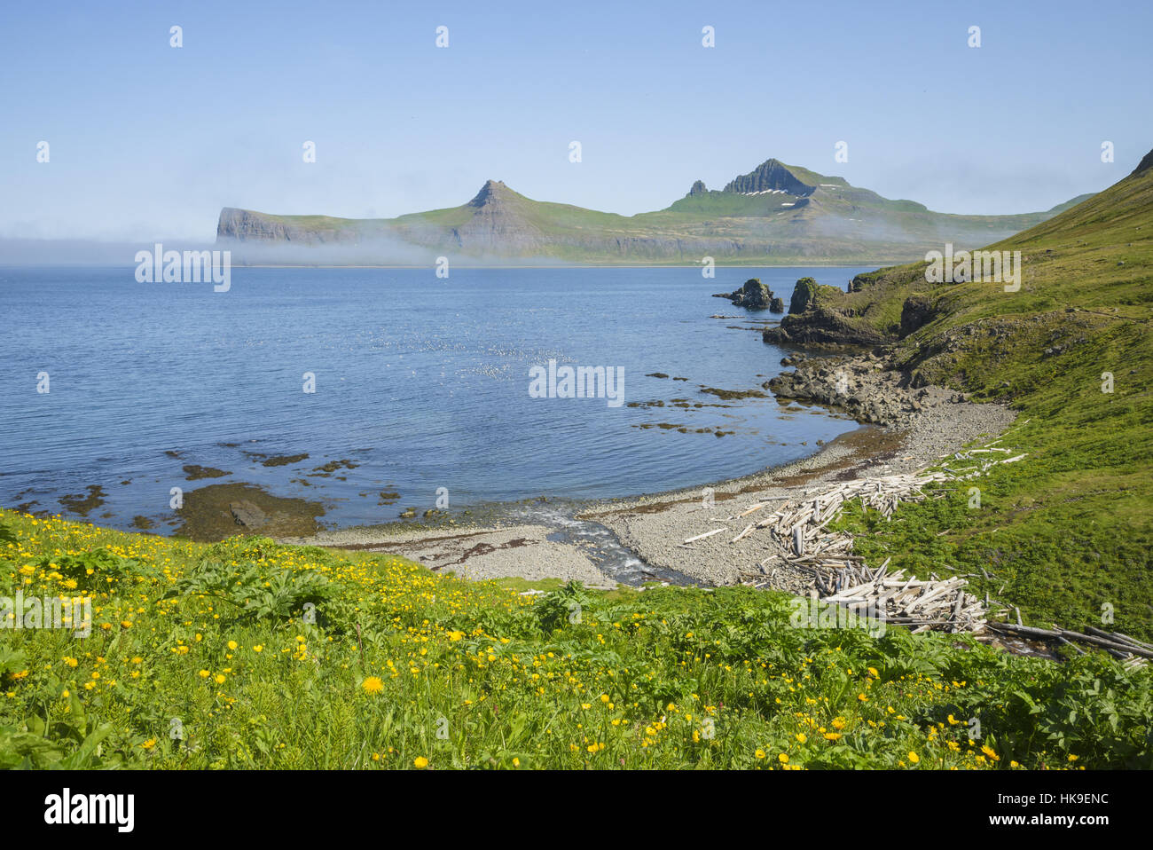 Kleine Bucht. Weiße Vögel sind Dreizehenmöwen (Rissa Tridactyla). Hornbjarg Felsen im Hintergrund. Hornvik, Hornstrandir, Island. Juli 2015. Stockfoto Kleine Bucht. Weiße Vögel sind Dreizehenmöwen (Rissa Tridactyla). Hornbjarg Felsen im Hintergrund. Hornvik, Hornstrandir, Island. Juli 2015. Stockfoto