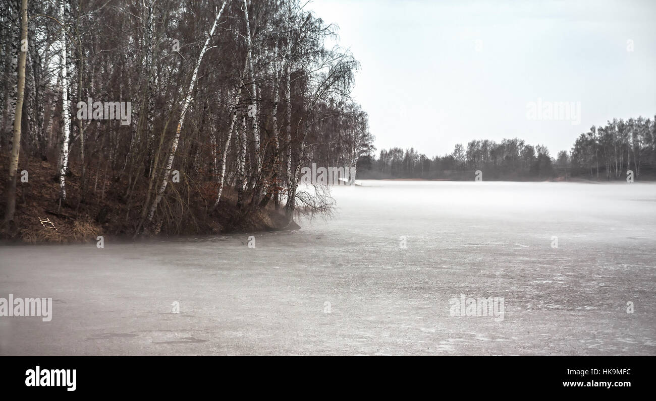 Düstere Landschaft auf gefrorenen nebeligen See mit Bäumen in der Saison zwischen Winter und Frühling Stockfoto