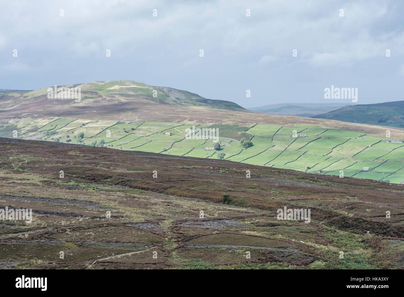 Calver Hügel und kleine Felder hinunter Reeth, vom Harkerside aus gesehen Stockfoto