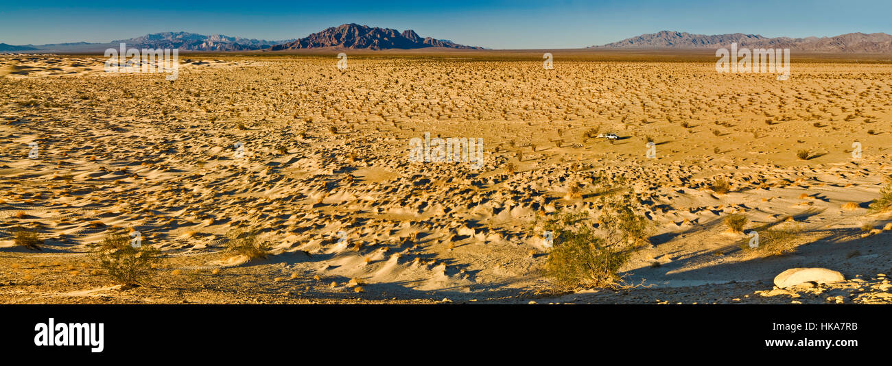 Entfernte Campingplatz in Cadiz Dunes in Mojave Trails National Monument, Mojave-Wüste, Kalifornien, USA Stockfoto