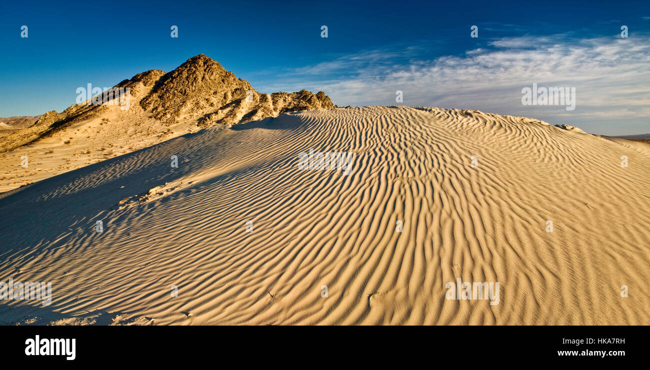 Cadiz Dünen in Mojave Trails National Monument, Mojave-Wüste, Kalifornien, USA Stockfoto