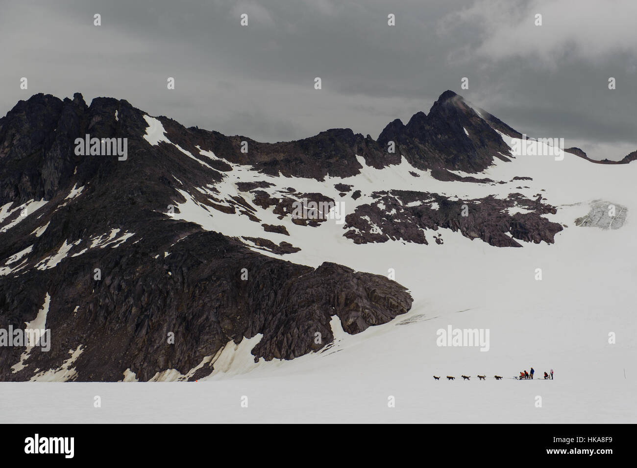 Rodeln im Gletscher Hunde Stockfoto