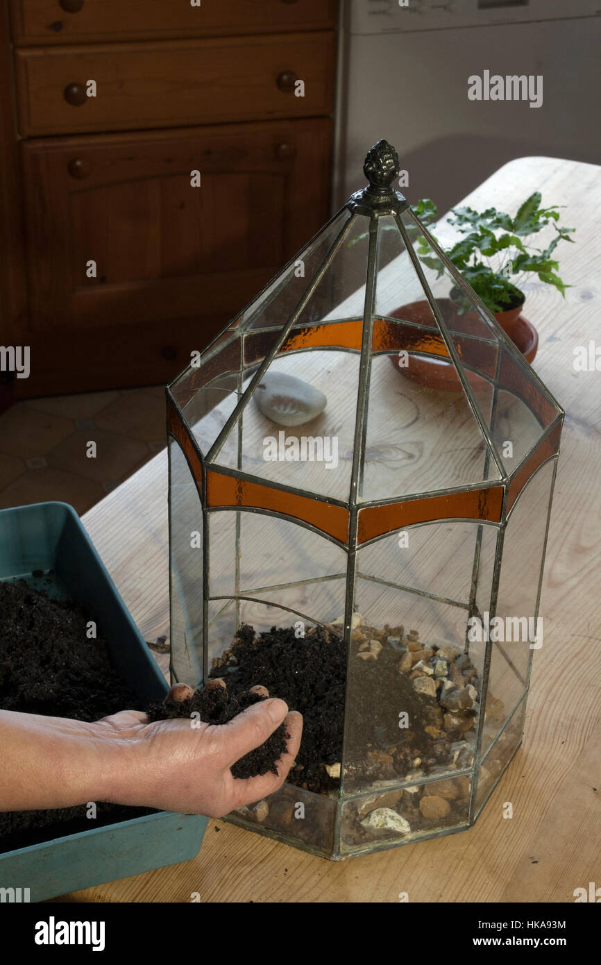 Pflanzung einer Terrarium-Sequenz. Schritt 1: Hinzufügen von Steinen für Entwässerung und Blumenerde Stockfoto