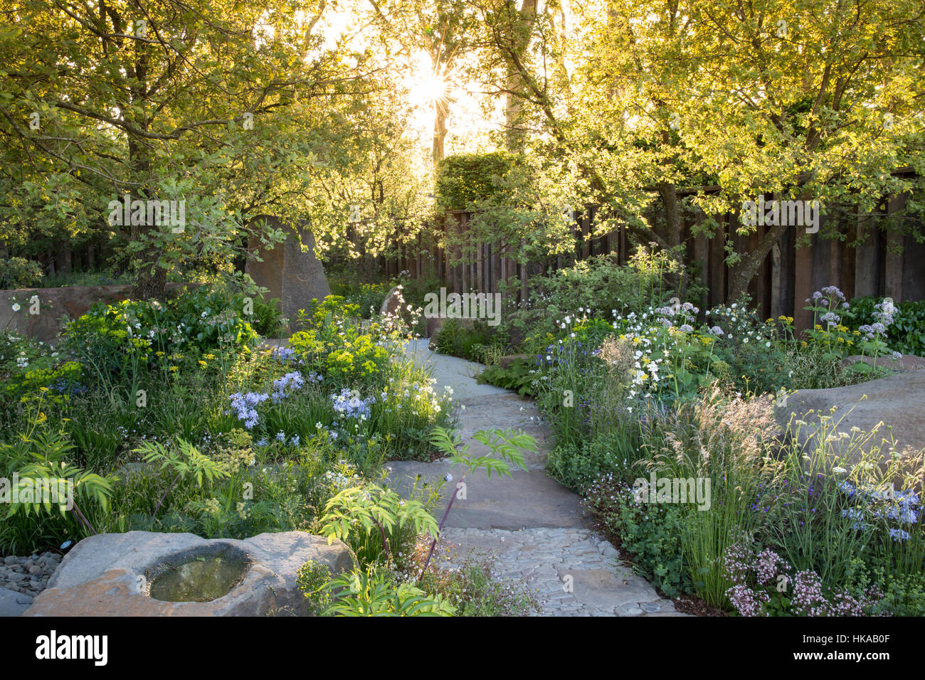 Cottage Garden im Frühjahr Großbritannien mit Stein gepflasterten Pfad Vogelbad Sonne scheint Sonnenstrahl durch Bäume Gräser bei Morgendämmerung gemischten Garten Grenzen Pflanzen Stockfoto