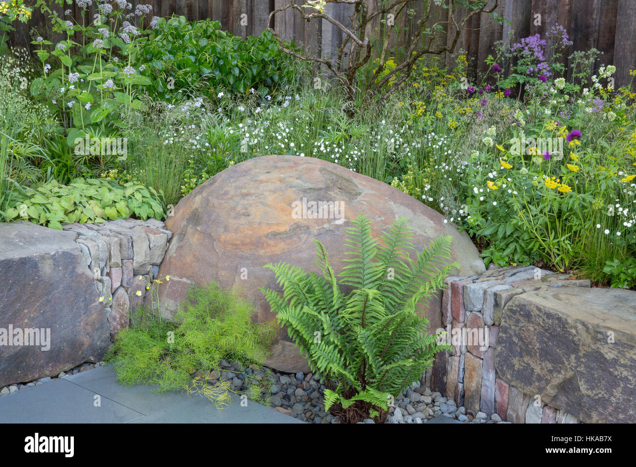 Kleiner Garten mit erhöhten Blumenbeeten mit großen Steinbänken Frühlingspflanzen Farne uk Stockfoto