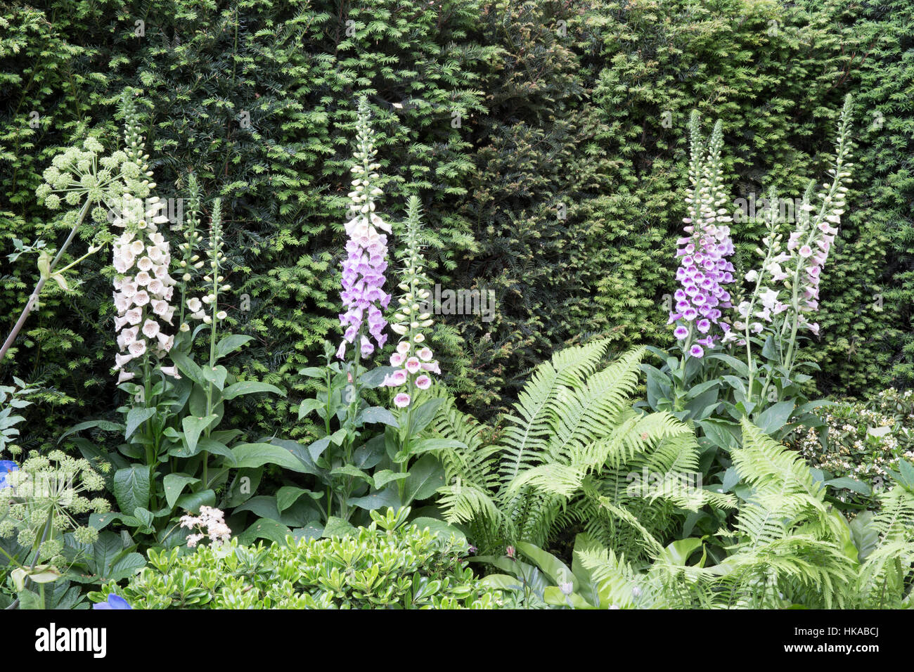 Die Husqvarna Garten, Chelsea Flower Show 2016, London UK Designer: Charlie Albone Stockfoto