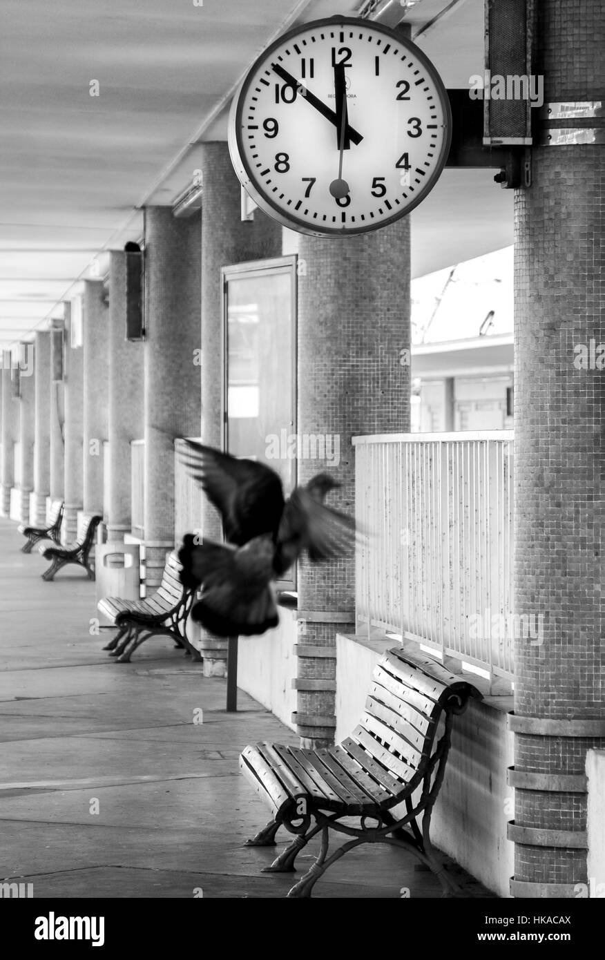 Moment, wenn die Zeit bleibt stehen, und jeder ist perfekt. Bahnhofsuhr zu trainieren und fliegende Tauben einfrieren. Nostalgische Atmosphäre Stockfoto