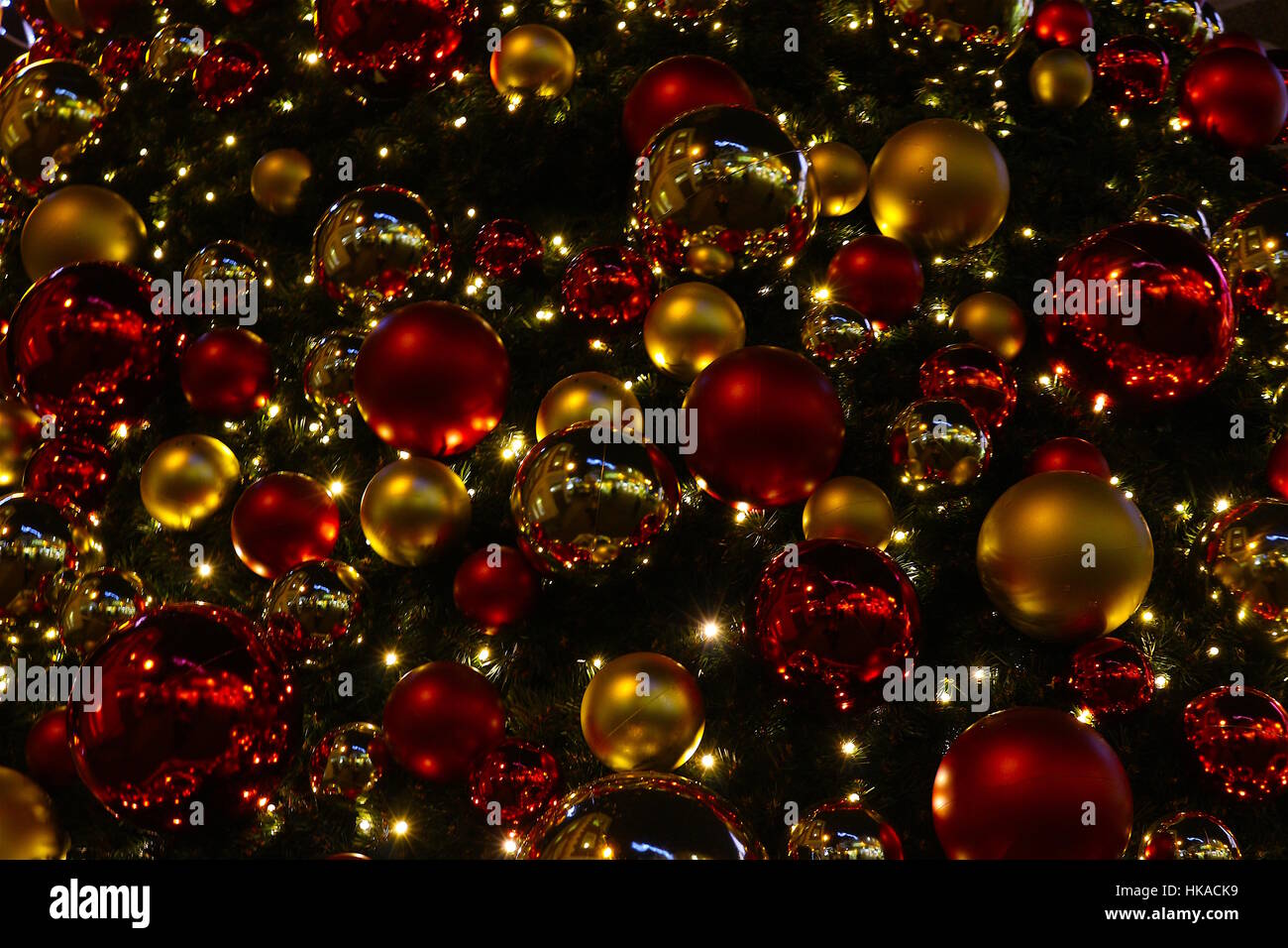 Weihnachtsbaum-Detail, mit goldenen und roten Dekoration. Winterabend Dezember 2016 Stockfoto