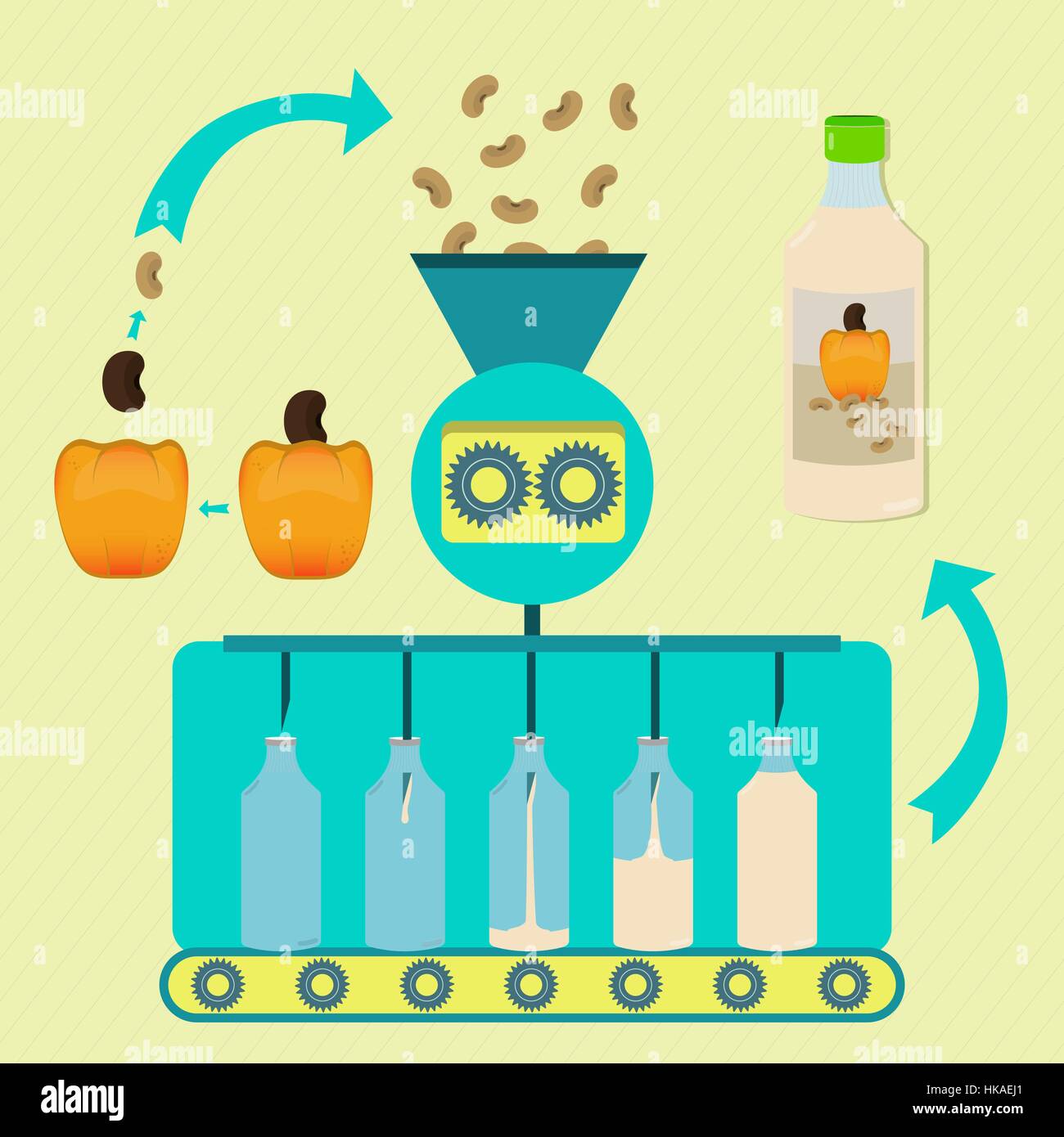 Cashew-Nuss-Milch-Serie. Frische Cashew und Cashew-Nuss, die verarbeitet wird. Cashew-Nussmilch abgefüllt. Stock Vektor