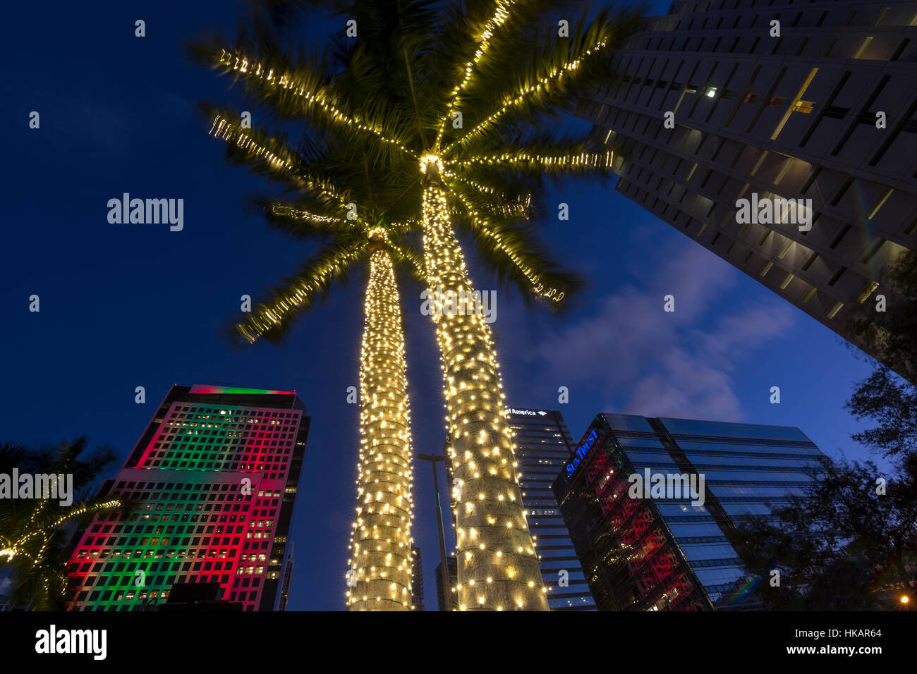 PALMEN-BELEUCHTETE WEIHNACHTEN SAISON BRICKELL AVENUE DOWNTOWN MIAMI FLORIDA USA Stockfoto