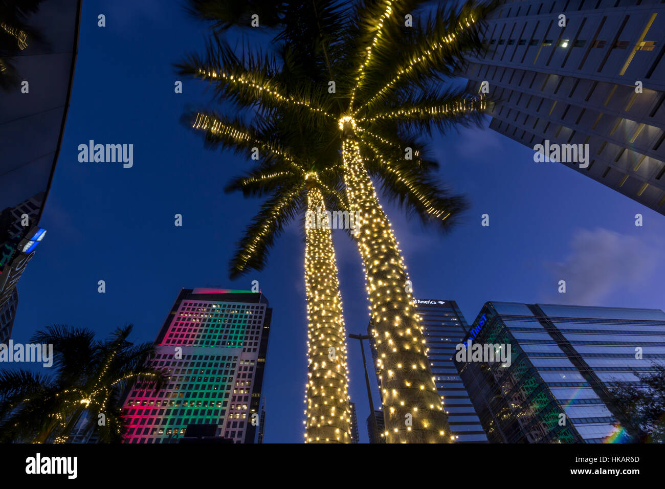 PALMEN-BELEUCHTETE WEIHNACHTEN SAISON BRICKELL AVENUE DOWNTOWN MIAMI FLORIDA USA Stockfoto