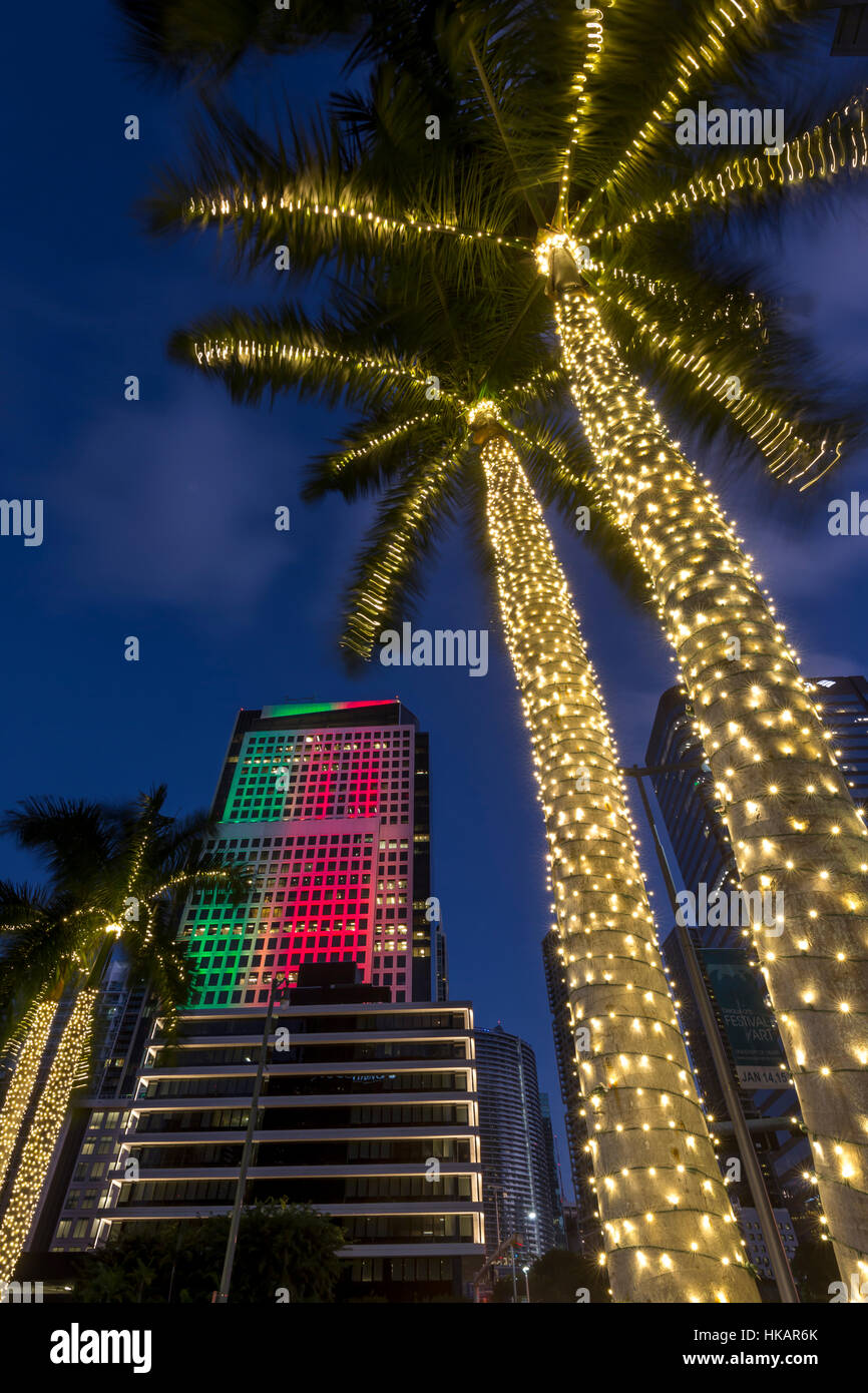 PALMEN-BELEUCHTETE WEIHNACHTEN SAISON BRICKELL AVENUE DOWNTOWN MIAMI FLORIDA USA Stockfoto