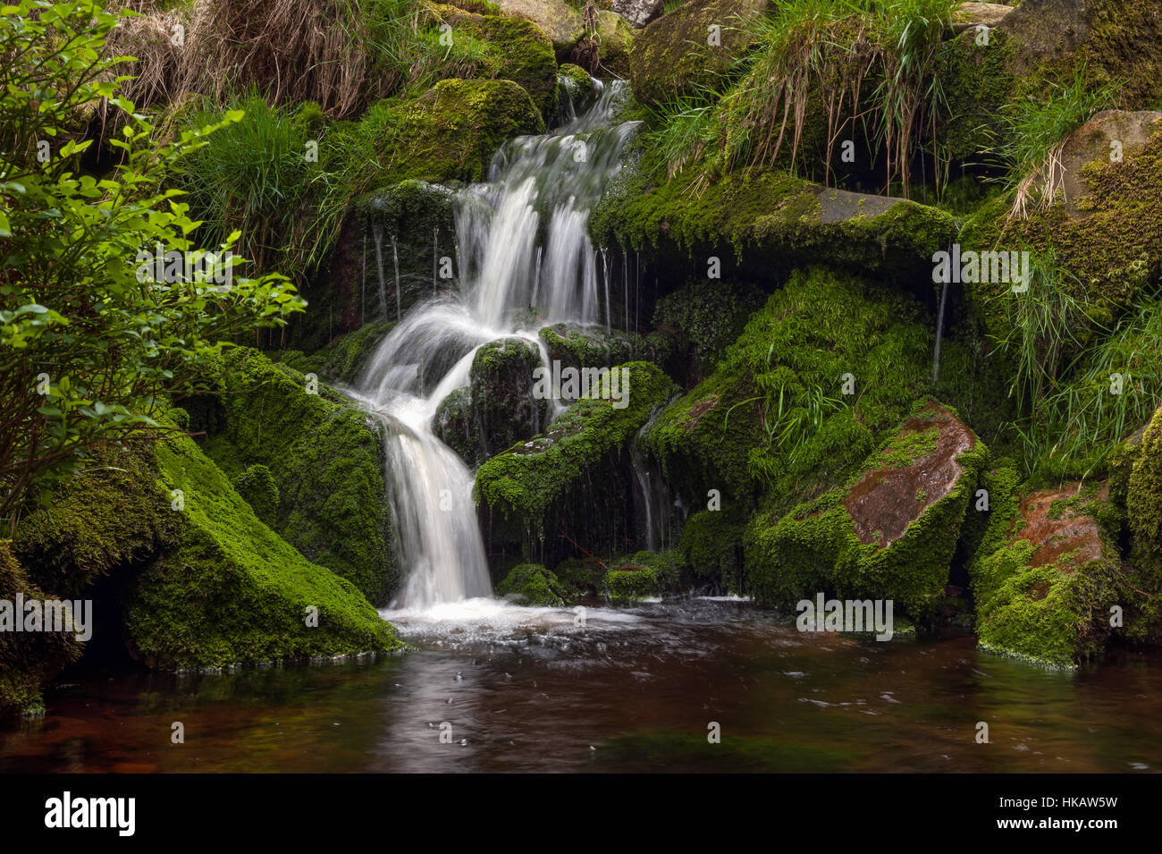 Wasserfälle in kleinen Costy Clough Wald von Bowland Stockfoto