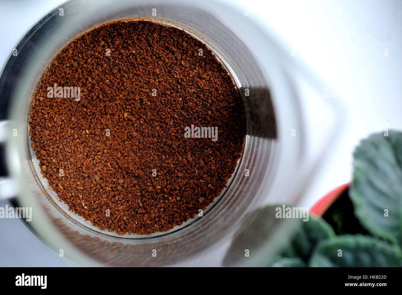 Gemahlenen Kaffee in Französisch Presse Stockfoto