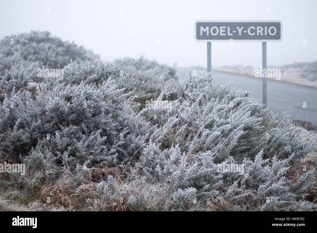 Eiskalte Nebel und Frost in das Dorf der Moel-y-Crio, Flintshire Stockfoto