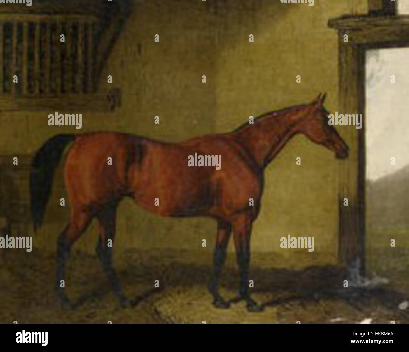 „Spinnennetz“ ist ein Gemälde eines Pferdes, das die Anmut und Eleganz des Tieres in Bewegung einfängt. Dieses Kunstwerk veranschaulicht die Schönheit der Reitergegenstände in der historischen Kunst. Stockfoto