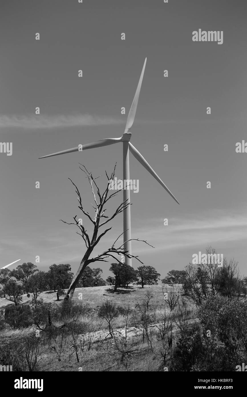 Wind Farm ländlicher Umgebung Stockfoto