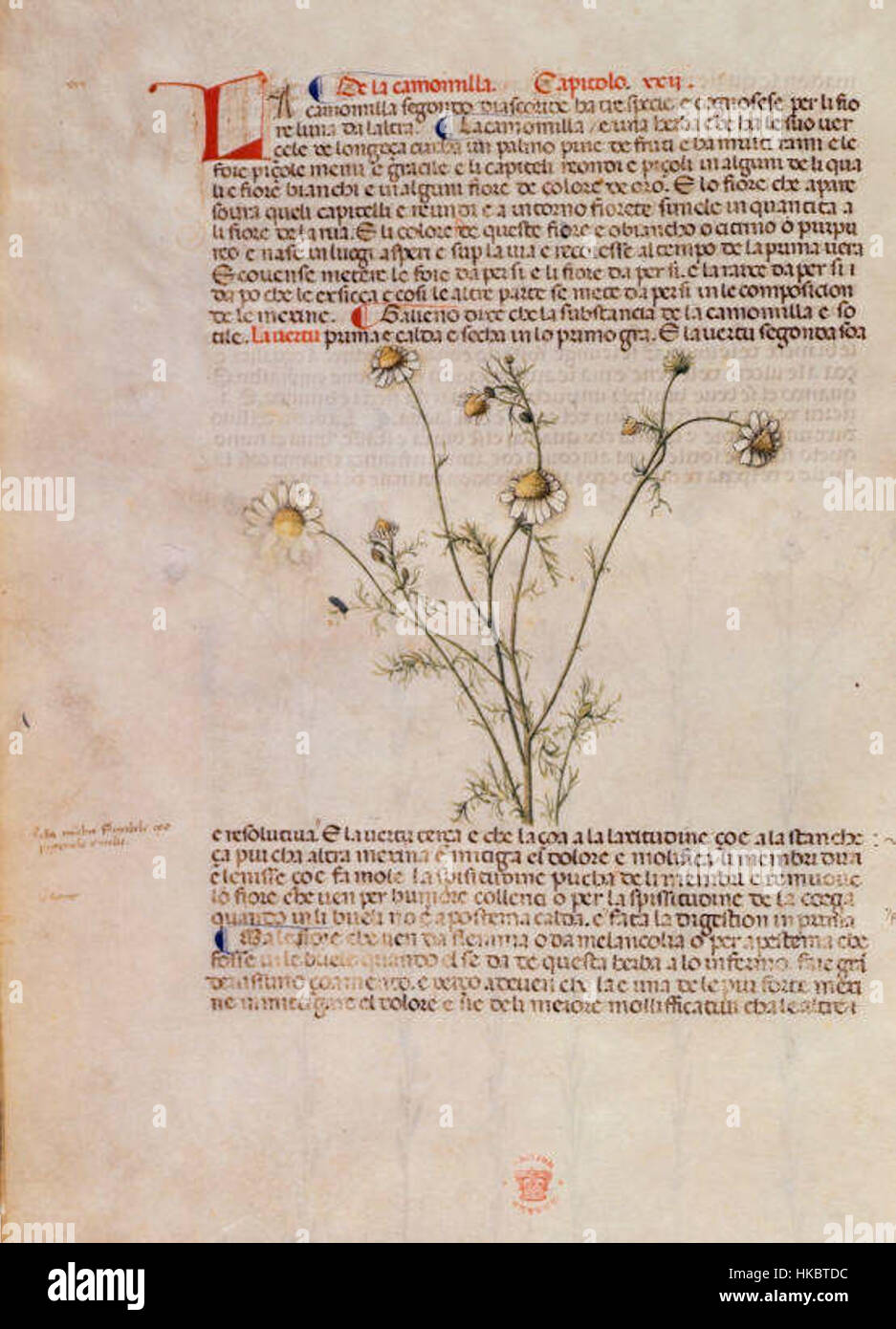 „Carrara Herbal10“ ist ein Kunstwerk mit botanischen Elementen, das wahrscheinlich von der natürlichen Schönheit von Carrara, Italien, inspiriert wurde, das für seine Marmorsteinbrüche bekannt ist. Das Stück kann detailliertes Pflanzenleben beinhalten, das Natur und künstlerischen Ausdruck durch komplexe Linienarbeit und satte Farben verbindet und die Verbindung zwischen Kunst und Umwelt betont. Stockfoto