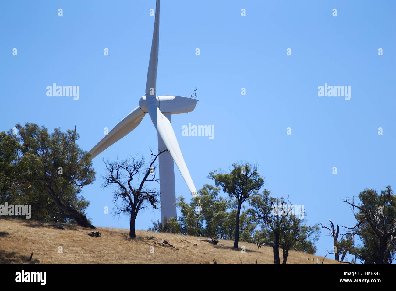 Wind Farm ländlicher Umgebung Stockfoto