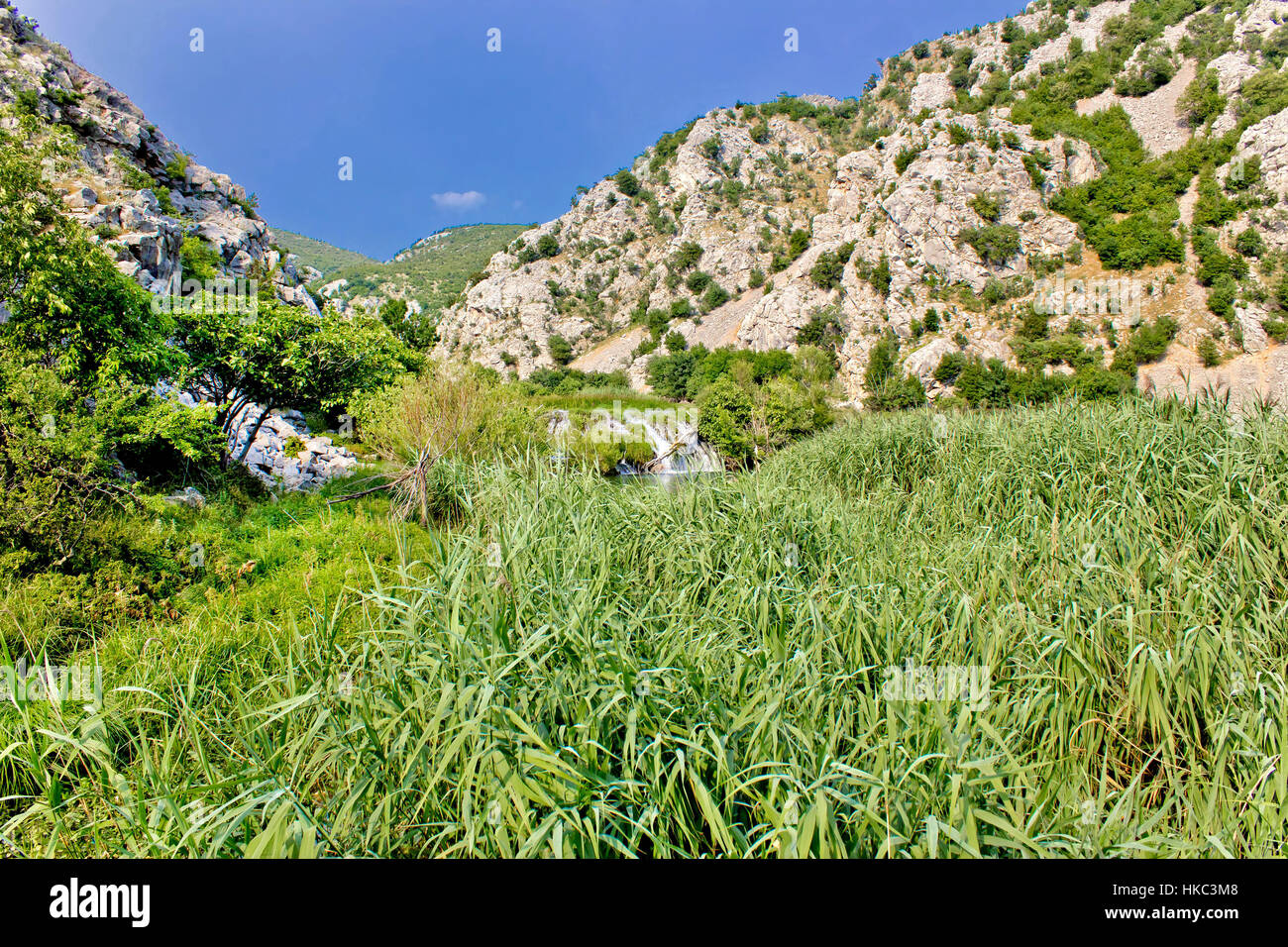 Krupa Fluss Canyon grüne Natur und Wasserfall, Dalmatien, Kroatien Stockfoto