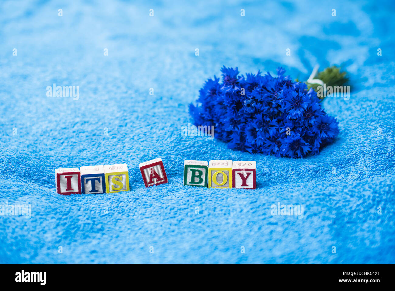 Es ist ein Junge Schwangerschaftansage aus Spielzeug-Buchstaben-Blöcke auf blaue Bad Handtuch Hintergrund mit Kornblumen Stockfoto