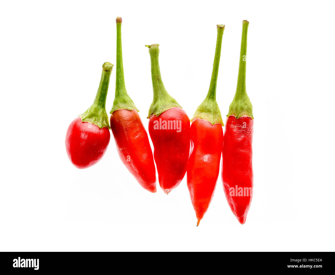 Suchanfrage verschiedene Rot-heiße Paprika Cayenne, Serrano mit grünem Stiel. Cayenne, Serrano oder sizilianische Vielzahl von Chili. Studio Bild isoliert auf wh Stockfoto