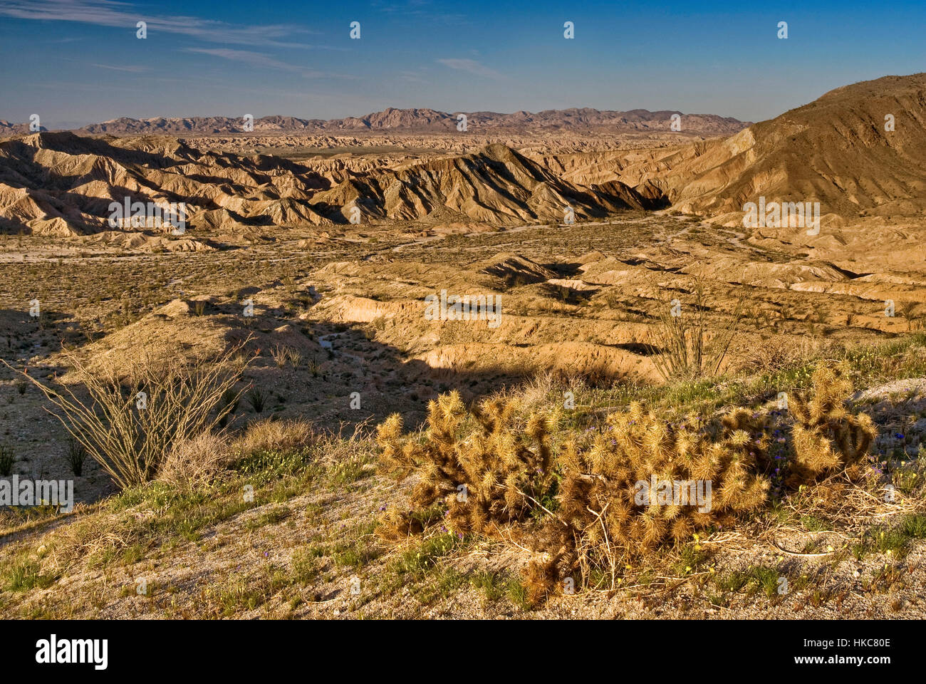 Carrizo Badlands gesehen von Aussichtspunkt im Anza Borrego Desert State Park, Sonora-Wüste, Kalifornien, USA Stockfoto