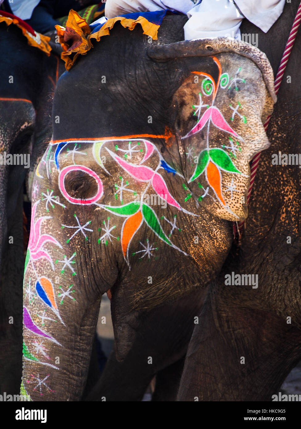Eine bemalte Elefanten in Indien dient als Transportmittel für Einheimische. Stockfoto