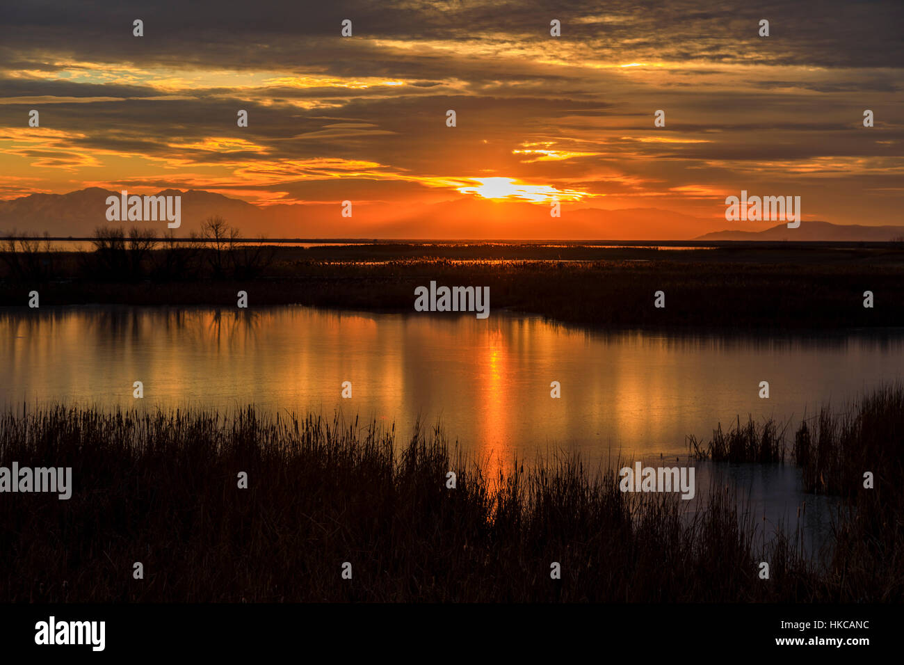 Die untergehende Sonne spiegelt sich auf einem der Teiche in Farmington Bay Wasservögel Management Area in der Nähe von Farmington, Utah, USA. Stockfoto