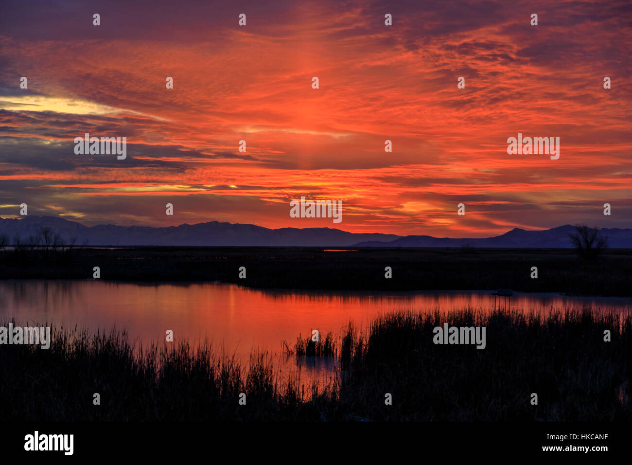Das Abendrot des Sonnenuntergangs leuchtet die Wolken über Farmington Bay Wasservögel Management Area in der Nähe von Farmington, Utah, USA. Stockfoto